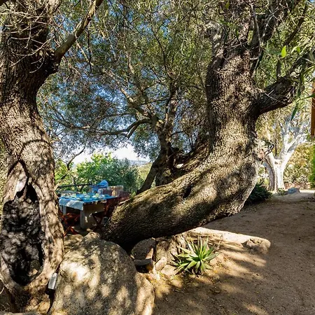 Ferienhaus Tipica Casa Sarda Con Piscina Privata E Vista Mare