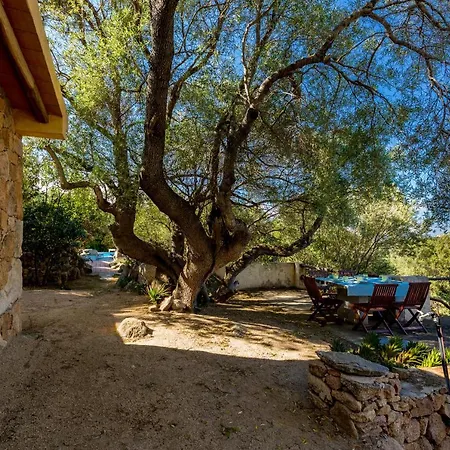 Tipica Casa Sarda Con Piscina Privata E Vista Mare Arzachena